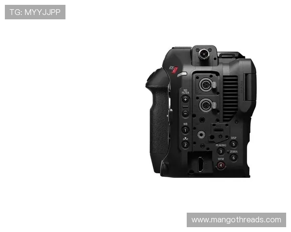 尊龙z6线上手机版下载安装教程，详细步骤帮你快速上手